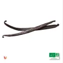 2 baccelli di Vaniglia Bourbon Biologica LAVANY del Madagascar