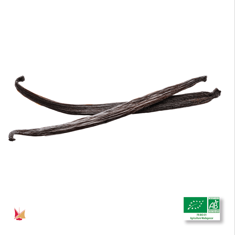 2 baccelli di Vaniglia Bourbon Biologica LAVANY del Madagascar