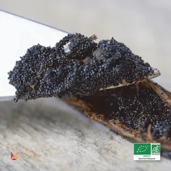 Grains de Vanille Biologique LAVANY Bourbon de Madagascar