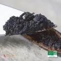 Baccelli di Vaniglia Bourbon LAVANY Biologici dal Madagascar
