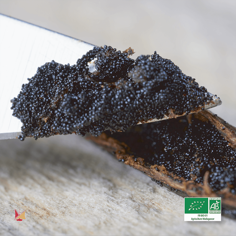 Baccelli di Vaniglia Bourbon LAVANY Biologici dal Madagascar