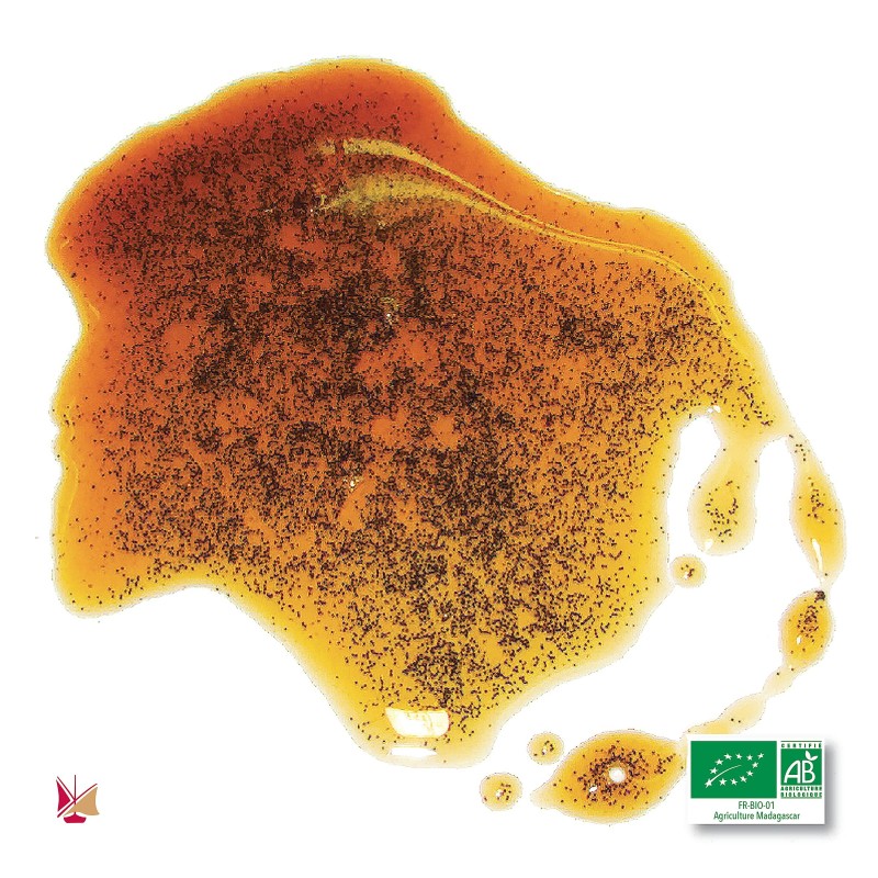LAVANY Bio Vanille Flüssigextrakt