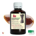 LAVANY Bio Vanille Flüssigextrakt in 500 ml Flasche - Nettogewicht 625 g